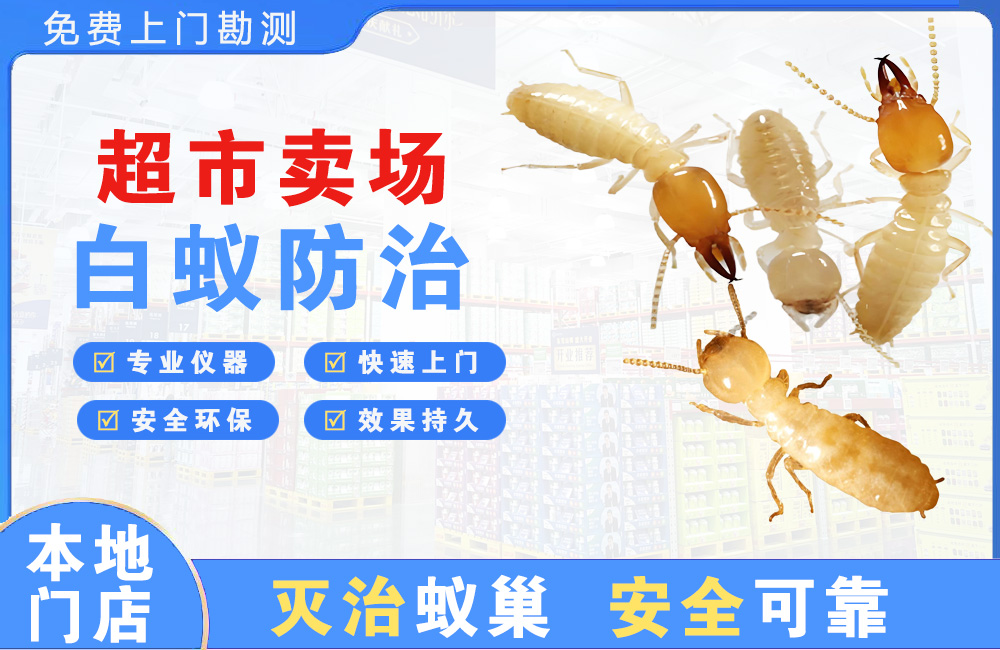 海口超市卖场白蚁防治