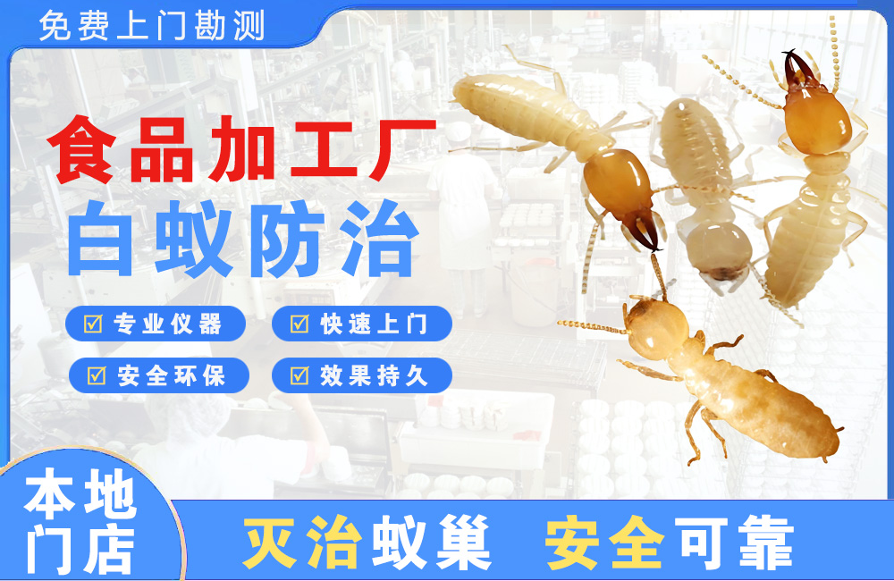海口食品加工厂白蚁防治