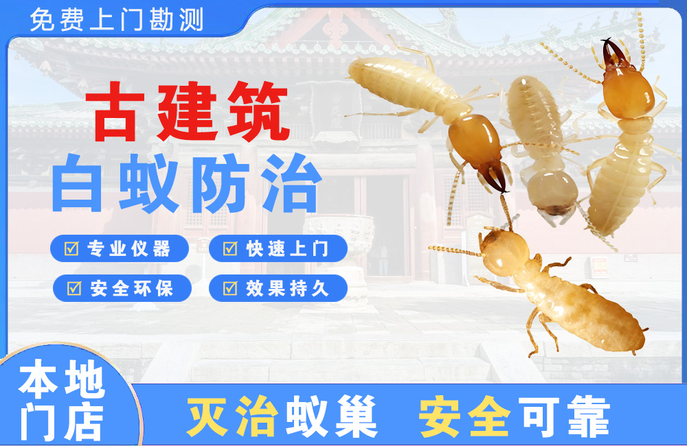 海口古建筑白蚁防治