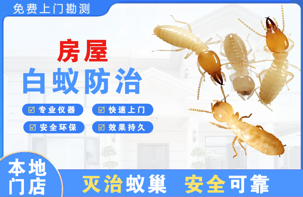 海口房屋白蚁防治