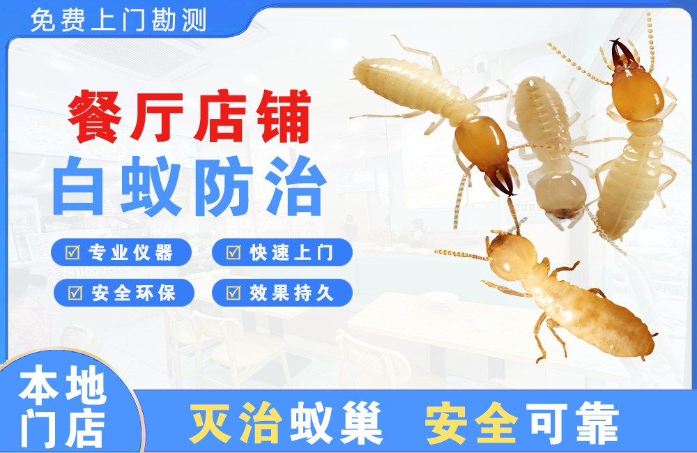 海口餐厅店铺白蚁防治